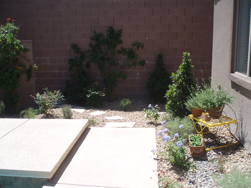 custom pools and spas by greencare.net